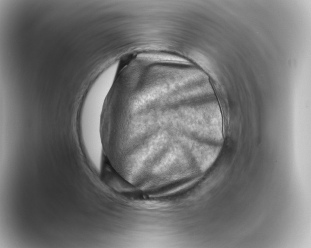 X0000088740389200706212100