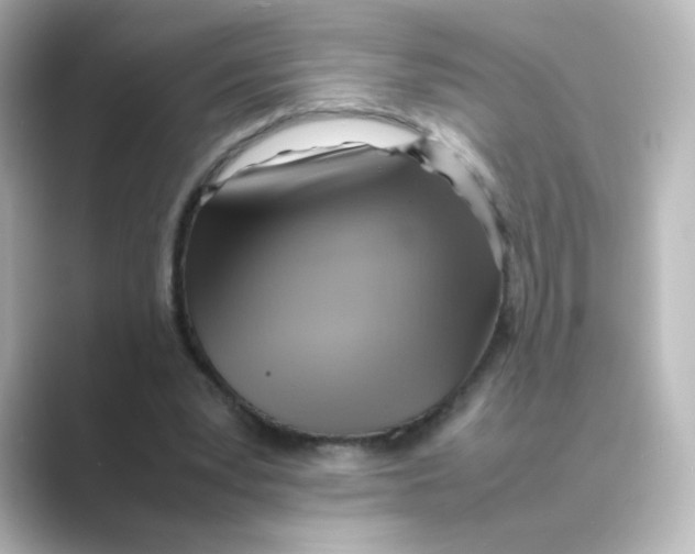 X0000088740391200706212100