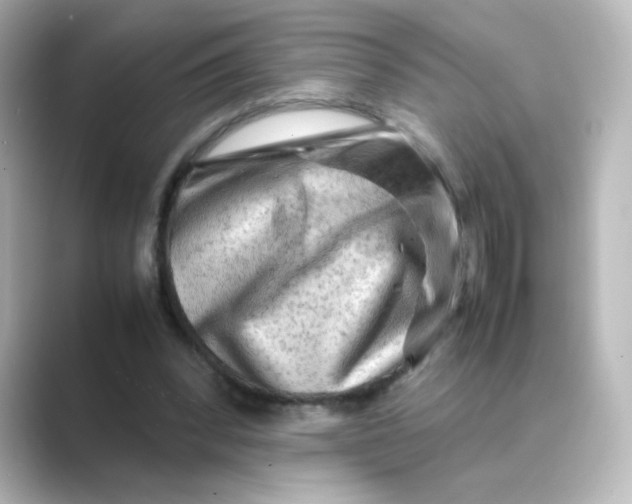 X0000088740392200706212100