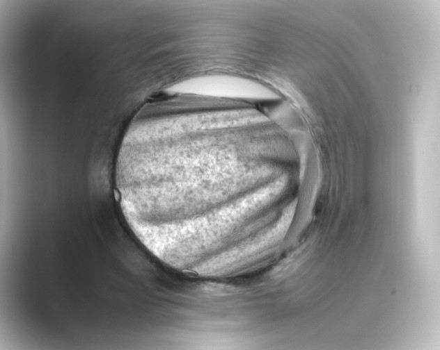 X0000088740393200706212100