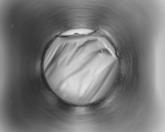 X0000088740394200706212100