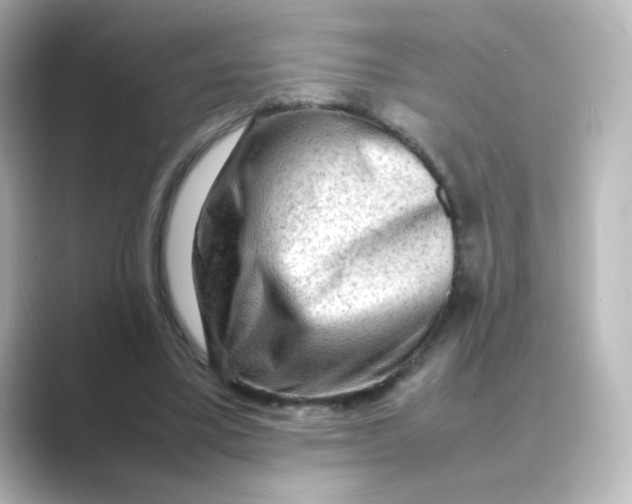 X0000088740395200706212100