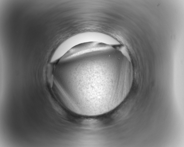 X0000088740397200706212100