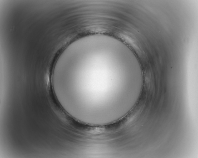 X0000088740398200706212100