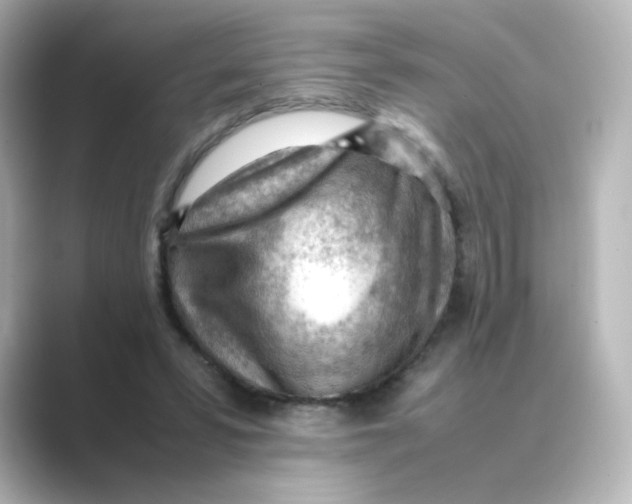 X0000088740399200706212100