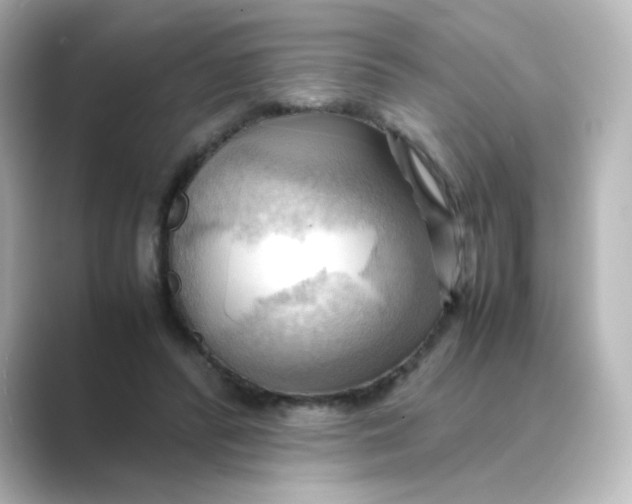 X0000088740400200706212100