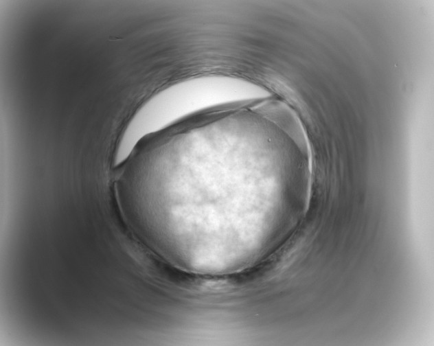 X0000088740401200706212100