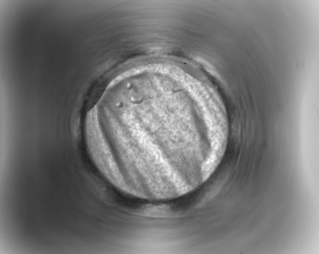 X0000088740403200706212100