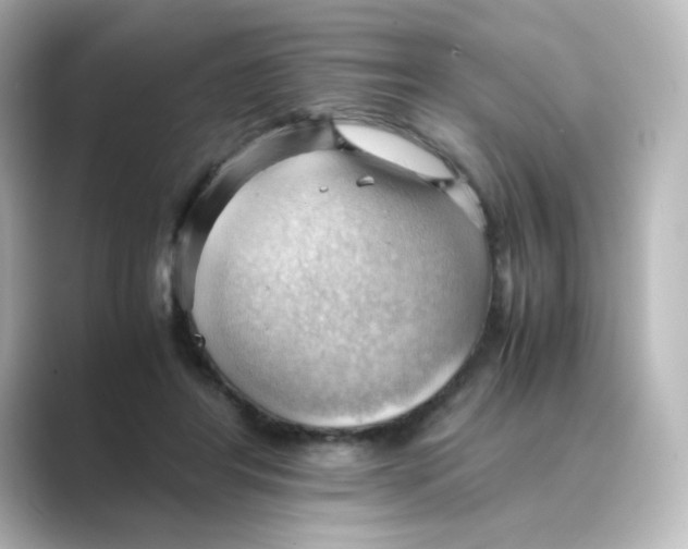X0000088740404200706212100