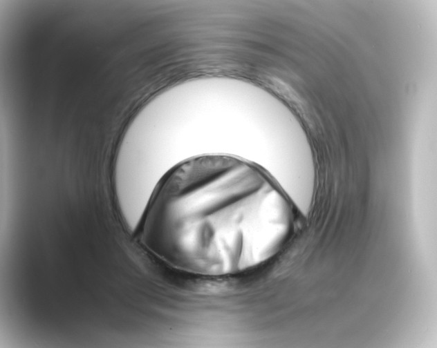 X0000088740405200706212100