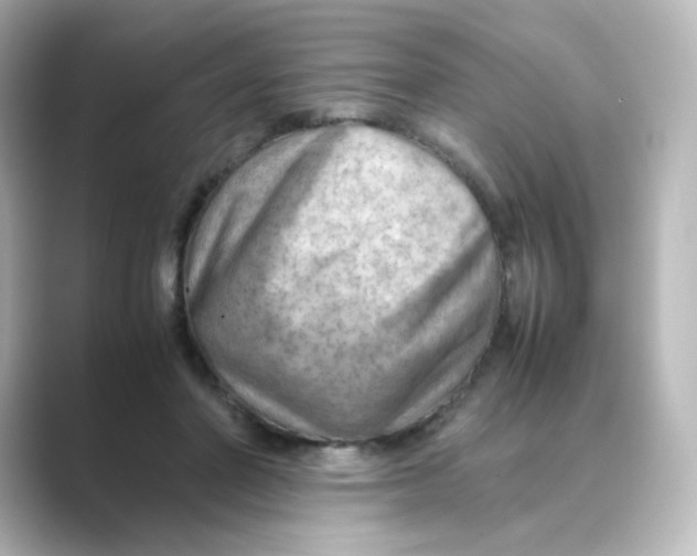 X0000088740406200706212100