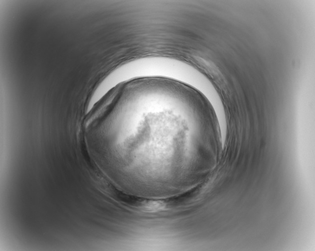 X0000088740409200706212100