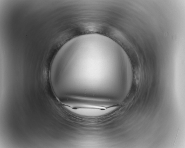X0000088740410200706212100