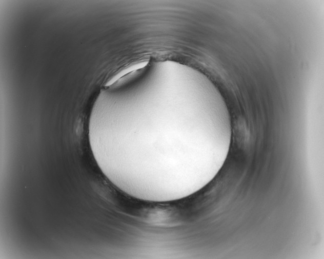 X0000088740412200706212100