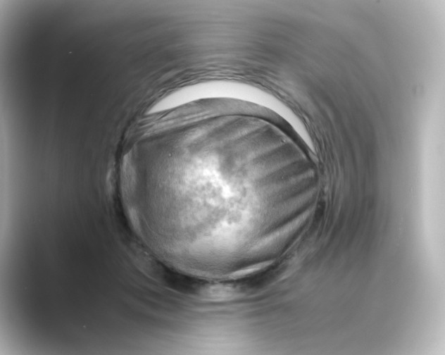 X0000088740413200706212100