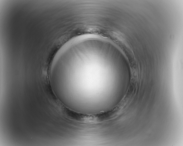 X0000088740415200706212100