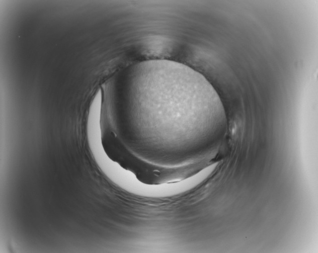 X0000088740416200706212100