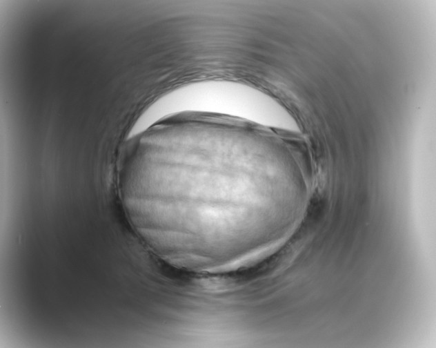 X0000088740417200706212100