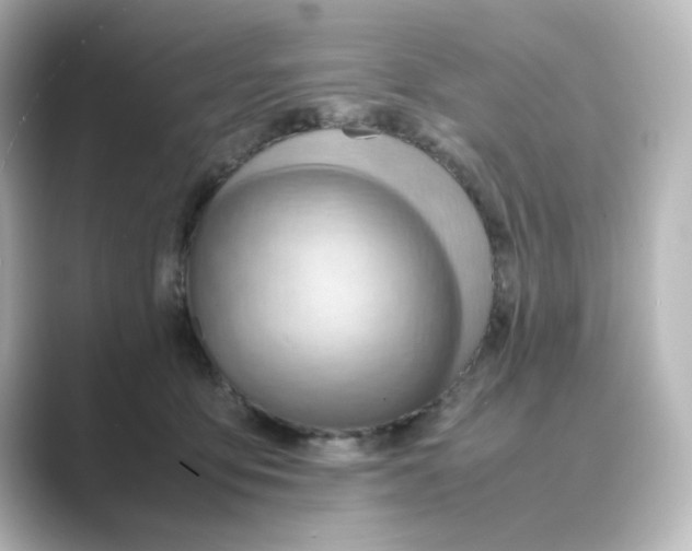 X0000088740419200706212100
