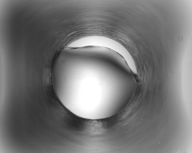 X0000088740421200706212100