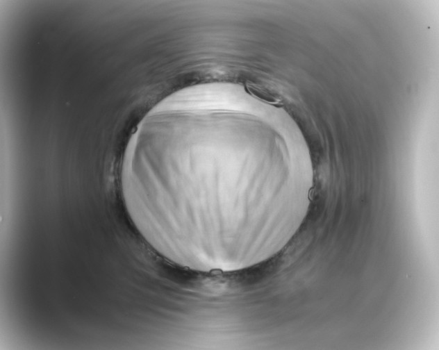 X0000088740423200706212100