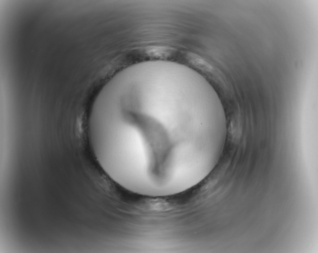 X0000088740424200706212100