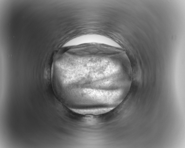 X0000088740425200706212100