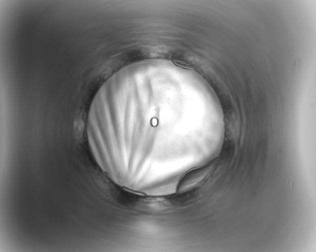 X0000088740427200706212100