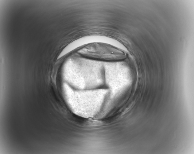 X0000088740429200706212100
