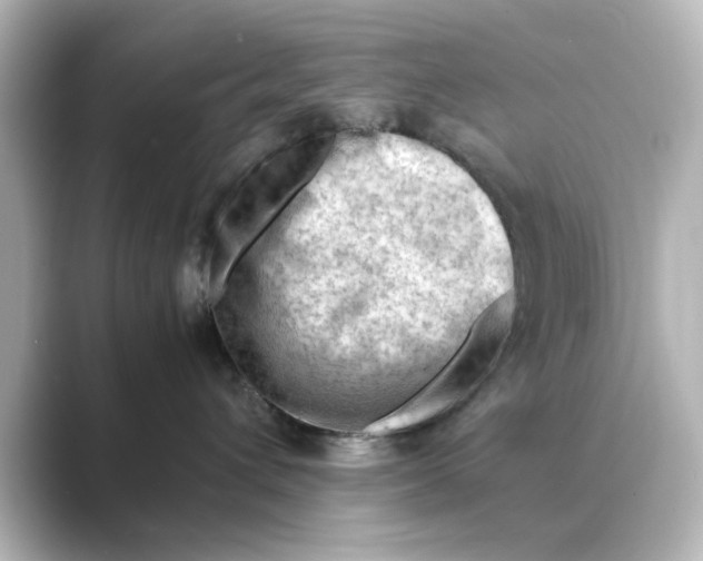 X0000088740432200706212100