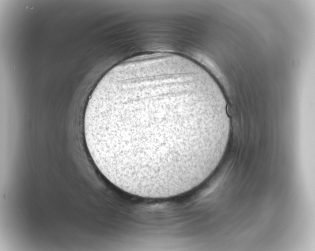 X0000088740433200706212059