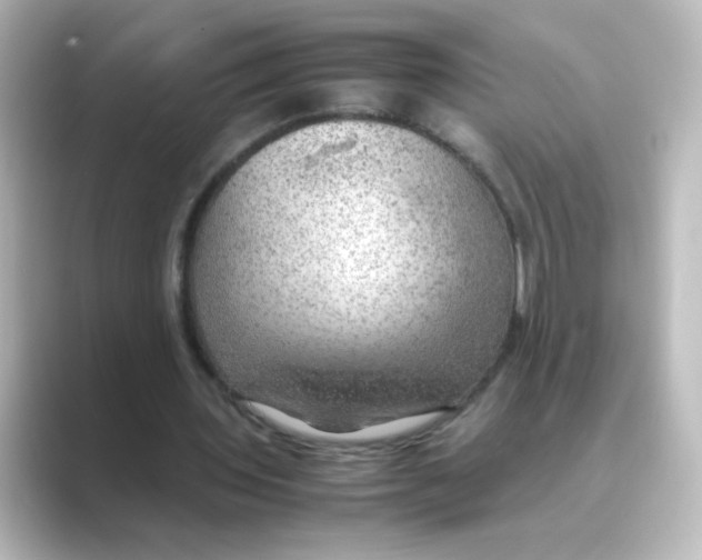 X0000088740435200706212059