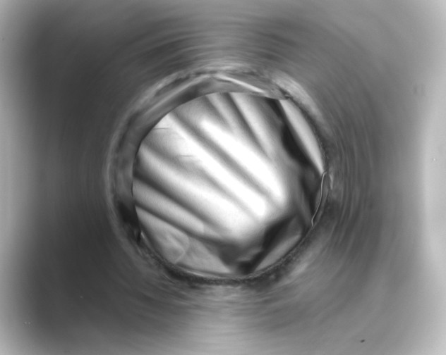 X0000088740436200706212059