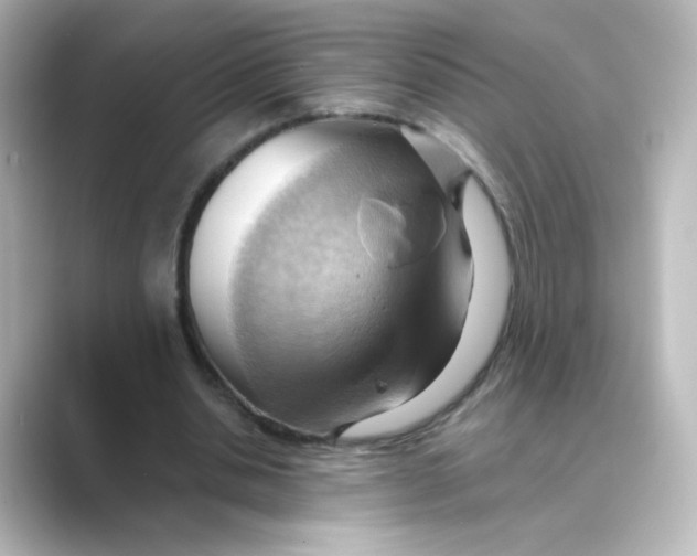 X0000088740438200706212059