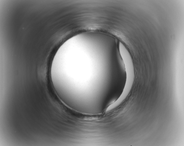 X0000088740440200706212059