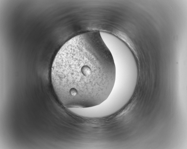 X0000088740441200706212059