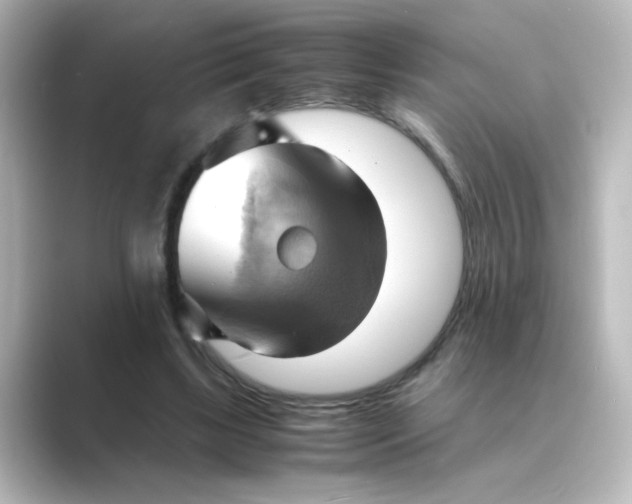 X0000088740443200706212100