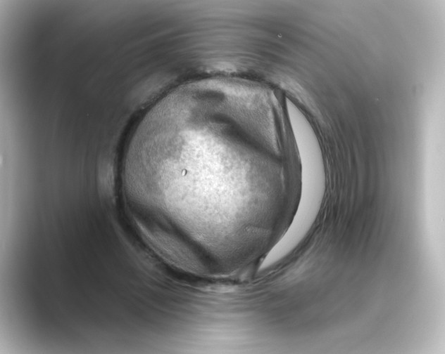 X0000088740444200706212100