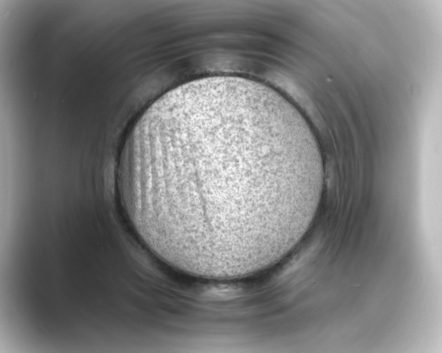 X0000088740445200706212100