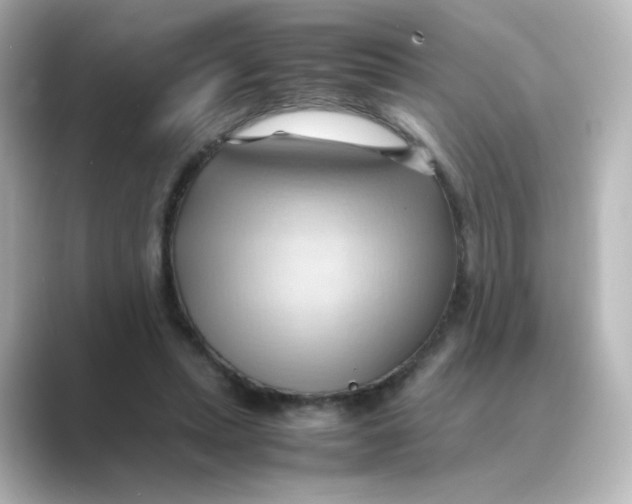 X0000088740447200706212100