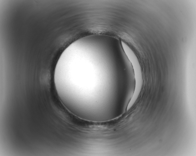 X0000088740448200706212100