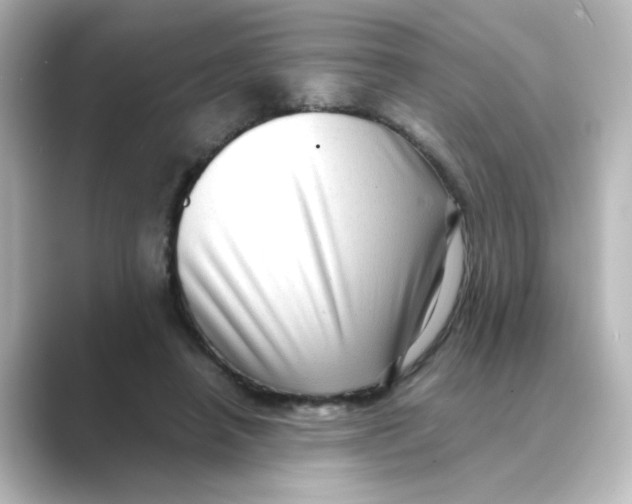 X0000088740450200706212100
