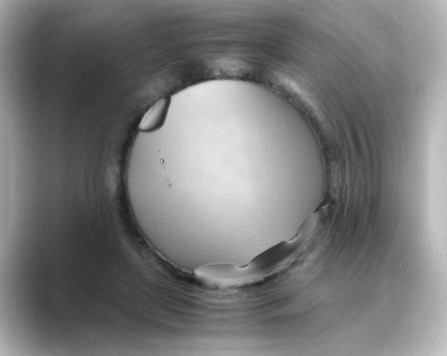 X0000088740451200706212100