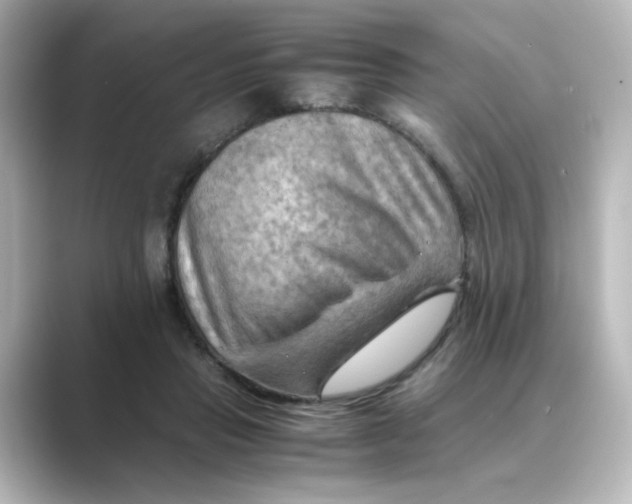 X0000088740453200706212100