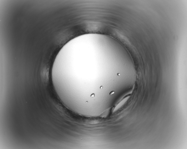 X0000088740454200706212100