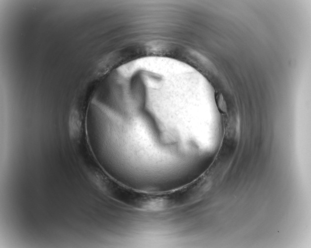 X0000088740456200706212100