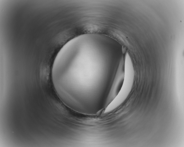 X0000088740458200706212100