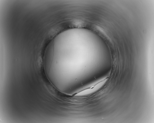 X0000088740459200706212100