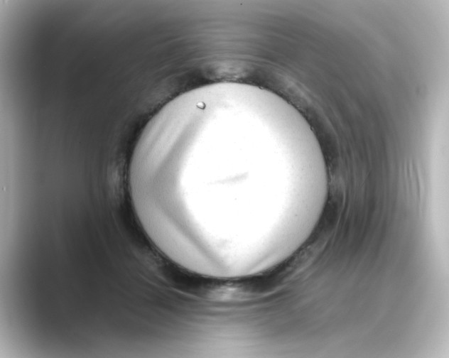 X0000088740460200706212100