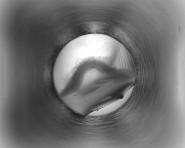 X0000088740461200706212100